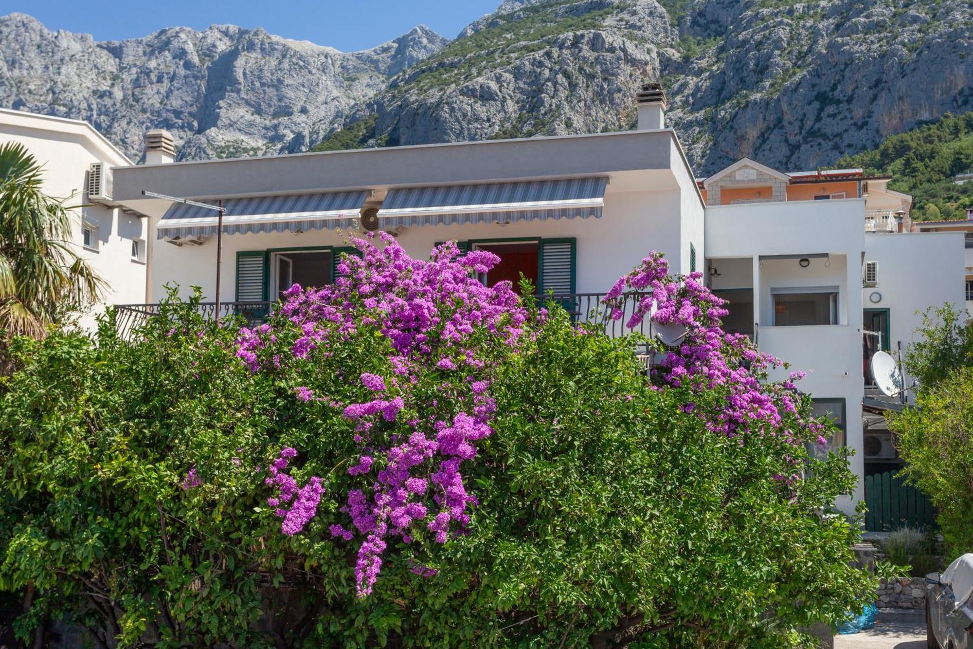 Jurass * Makarska